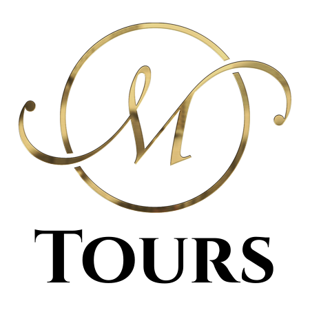 Logo Millesime Tours